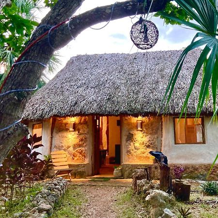 Encantadora Villa Maya Tradicional En Rancho Agroecologico Tzucacab Luaran gambar