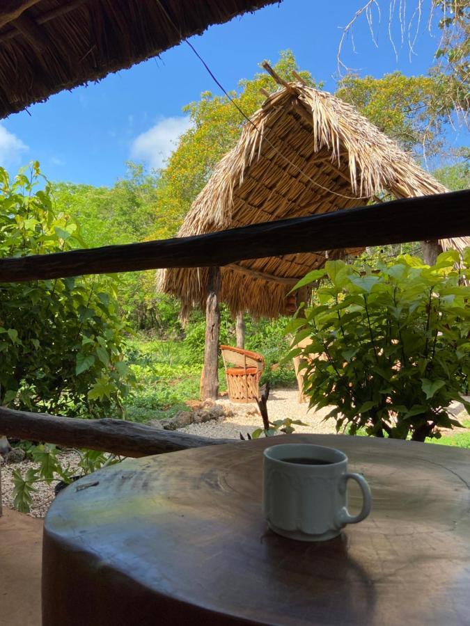 Encantadora Villa Maya Tradicional En Rancho Agroecologico Tzucacab Luaran gambar