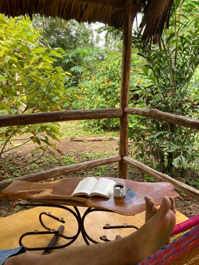 Encantadora Villa Maya Tradicional En Rancho Agroecologico Tzucacab Luaran gambar