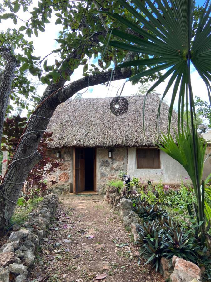 Encantadora Villa Maya Tradicional En Rancho Agroecologico Tzucacab Luaran gambar