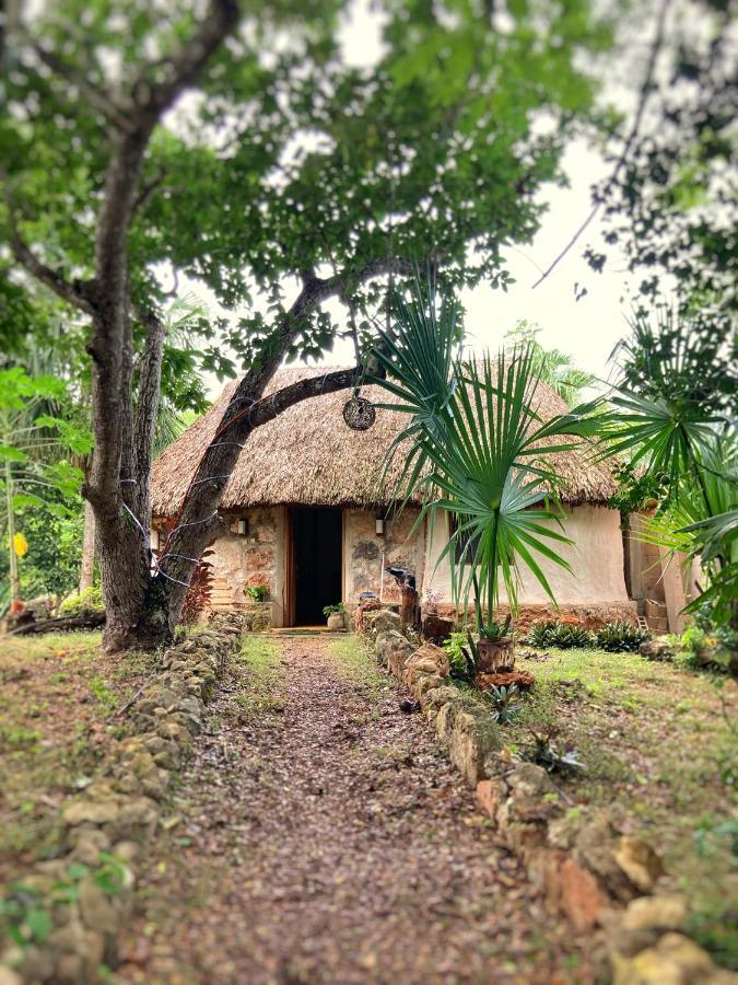 Encantadora Villa Maya Tradicional En Rancho Agroecologico Tzucacab Luaran gambar
