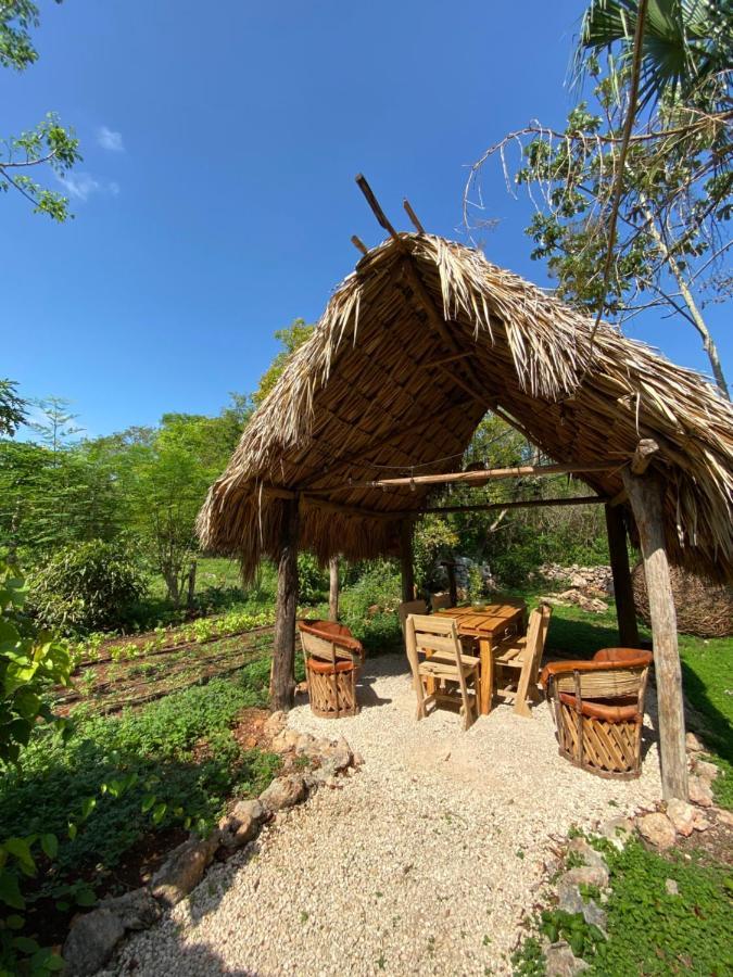 Encantadora Villa Maya Tradicional En Rancho Agroecologico Tzucacab Luaran gambar
