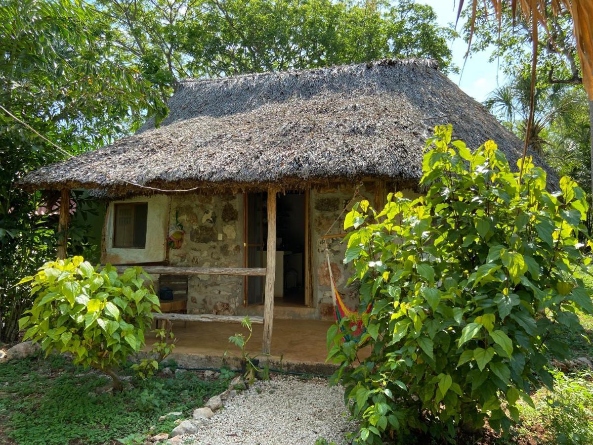 Encantadora Villa Maya Tradicional En Rancho Agroecologico Tzucacab Luaran gambar
