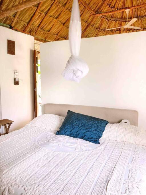Encantadora Villa Maya Tradicional En Rancho Agroecologico Tzucacab Luaran gambar