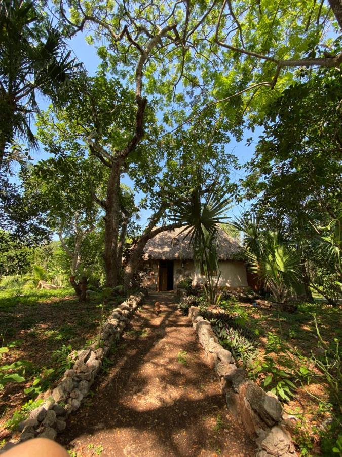 Encantadora Villa Maya Tradicional En Rancho Agroecologico Tzucacab Luaran gambar
