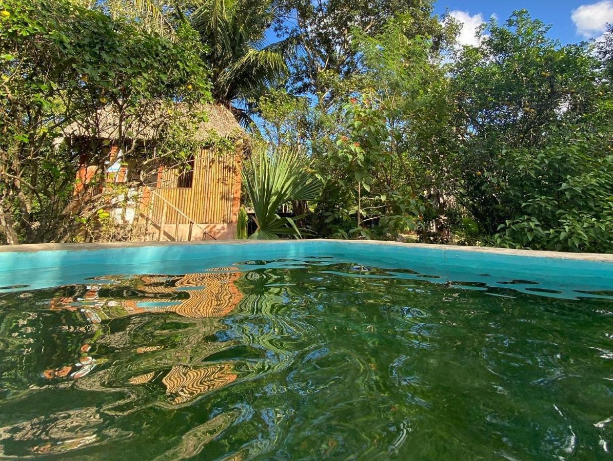 Encantadora Villa Maya Tradicional En Rancho Agroecologico Tzucacab Luaran gambar