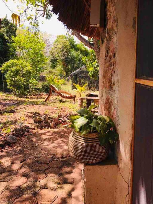 Encantadora Villa Maya Tradicional En Rancho Agroecologico Tzucacab Luaran gambar