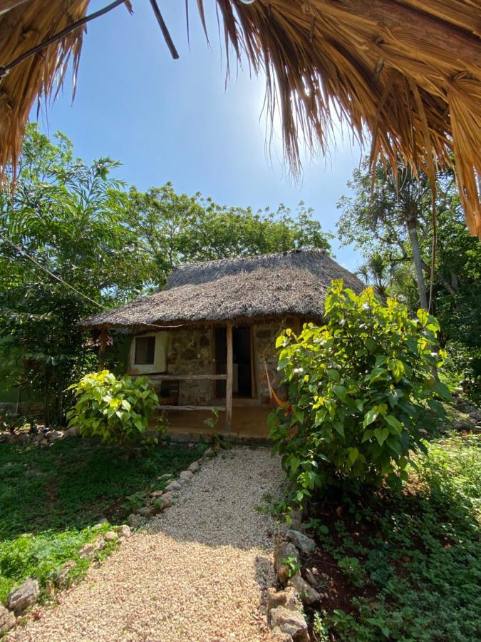 Encantadora Villa Maya Tradicional En Rancho Agroecologico Tzucacab Luaran gambar