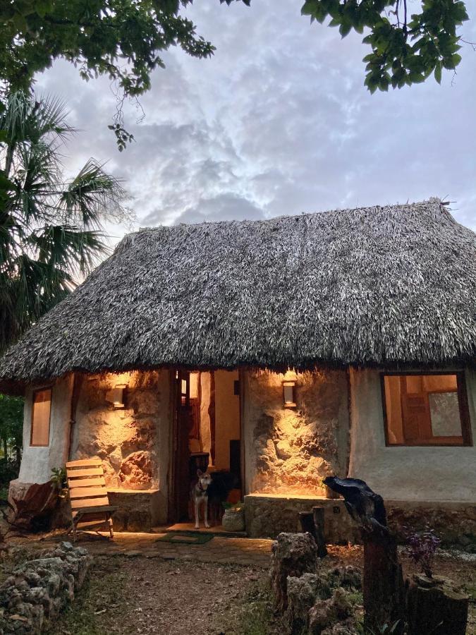 Encantadora Villa Maya Tradicional En Rancho Agroecologico Tzucacab Luaran gambar