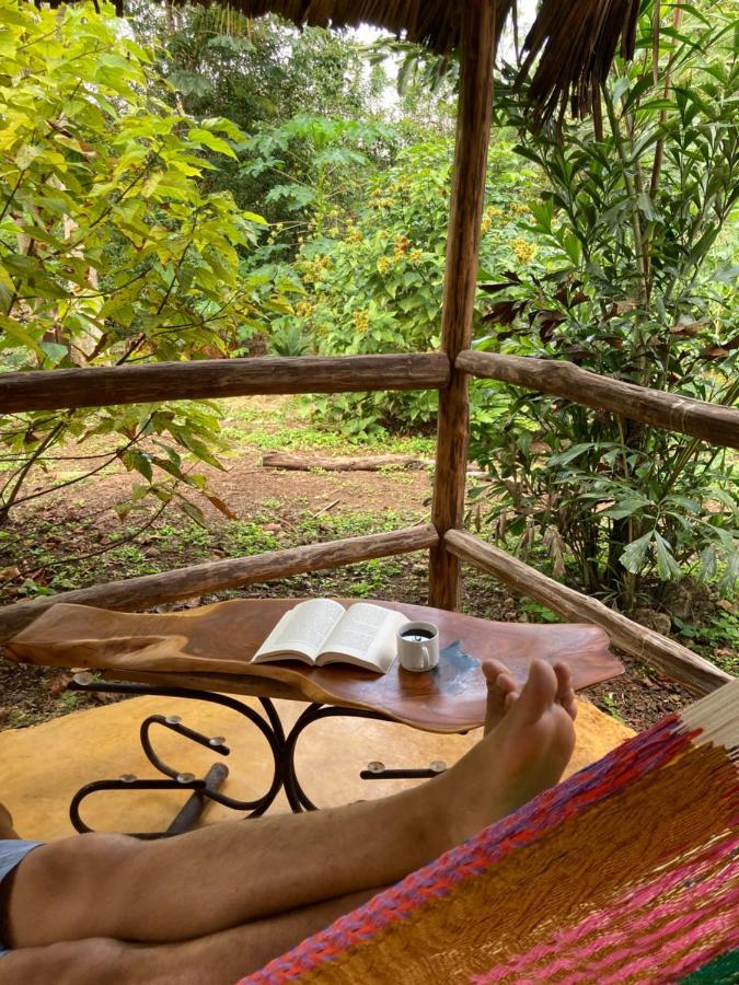 Encantadora Villa Maya Tradicional En Rancho Agroecologico Tzucacab Luaran gambar