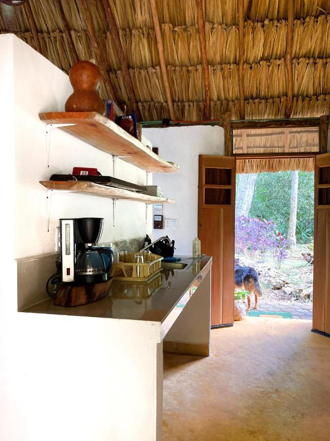 Encantadora Villa Maya Tradicional En Rancho Agroecologico Tzucacab Luaran gambar