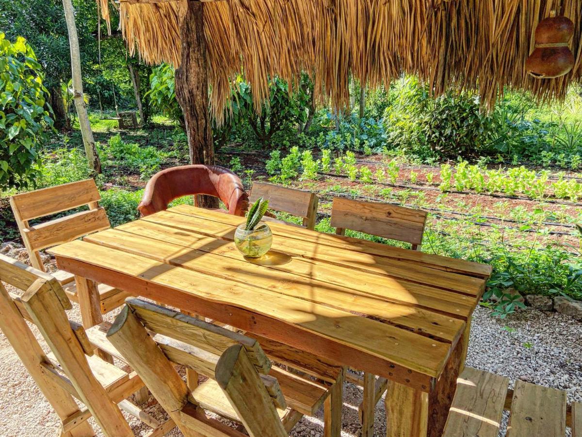 Encantadora Villa Maya Tradicional En Rancho Agroecologico Tzucacab Luaran gambar