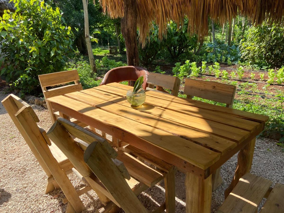 Encantadora Villa Maya Tradicional En Rancho Agroecologico Tzucacab Luaran gambar