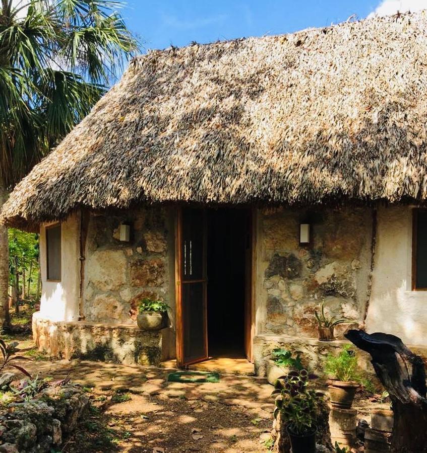 Encantadora Villa Maya Tradicional En Rancho Agroecologico Tzucacab Luaran gambar
