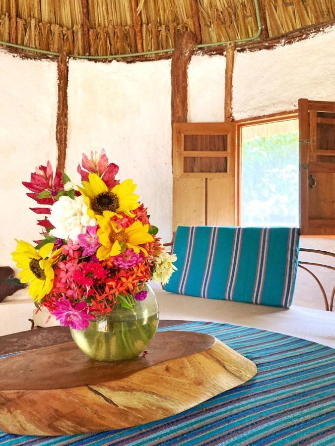 Encantadora Villa Maya Tradicional En Rancho Agroecologico Tzucacab Luaran gambar