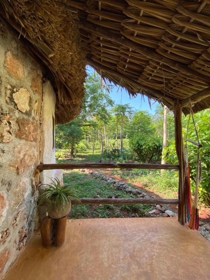 Encantadora Villa Maya Tradicional En Rancho Agroecologico Tzucacab Luaran gambar